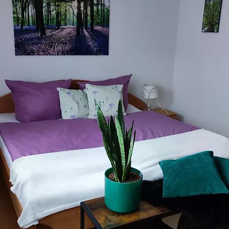 Apartment Sartorius Am Hemsberg *