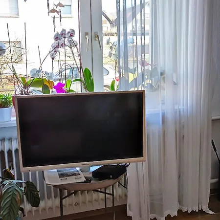 Sartorius Am Hemsberg بينسهايم