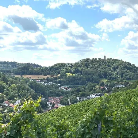 Sartorius Am Hemsberg *