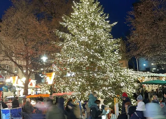 Sartorius Am Hemsberg شقة بينسهايم